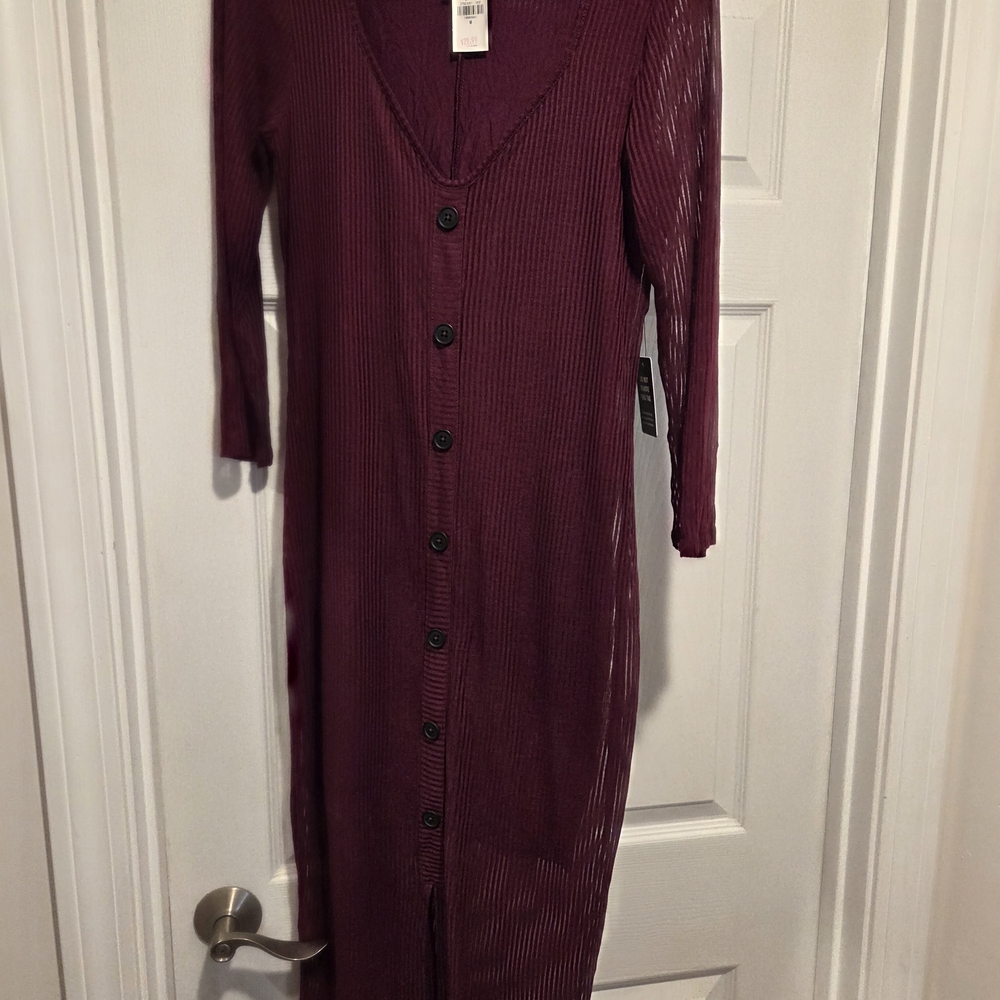Express Deep Purple Long Sleeve Dress